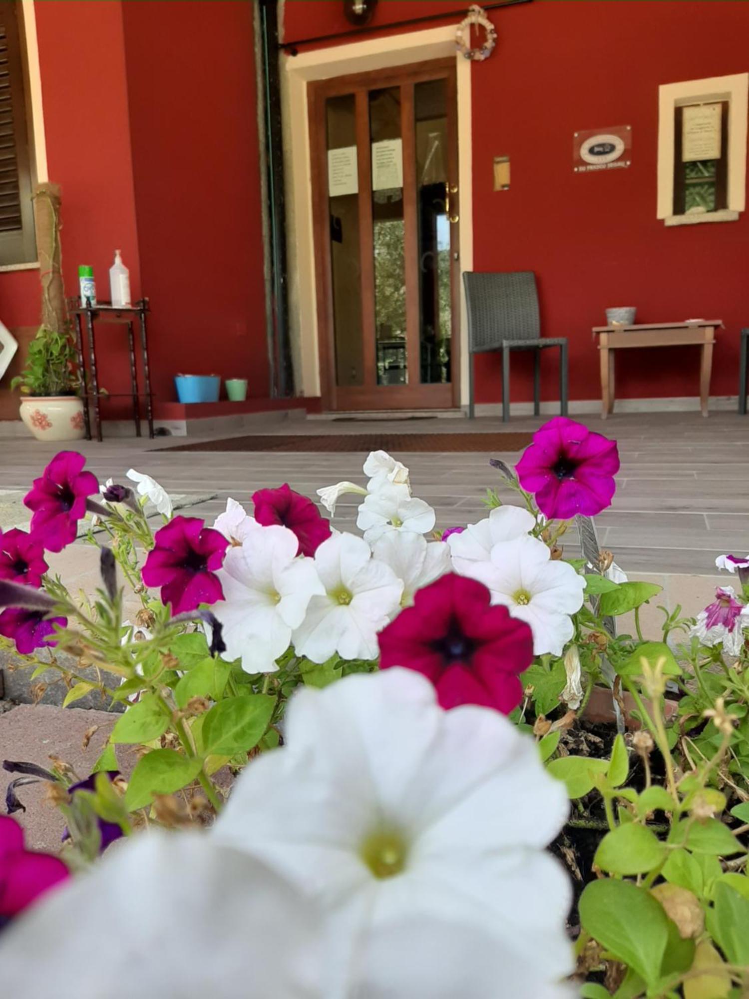 B&B Su Frascu Segau Teulada Exterior foto